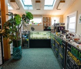Green Gnome Holistics Medical Marijuana Dispensary Portland