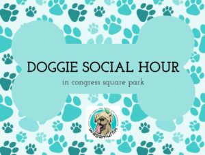 Doggie Social Hour at Congress Square Park @ Congress Square Park | Portland | Maine | United States