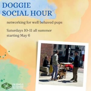 Doggie Social Hour at Congress Square Park @ Congress Square Park | Portland | Maine | United States