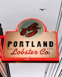 Portland Lobster Co: Stucco @ Portland Lobster Company | Portland | Maine | United States