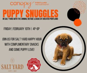 Puppy Snuggles at Canopy Hotel @ Canopy Hotel - Salt Yard Lounge | Portland | Maine | United States
