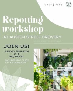 Repotting Workshop at Austin Street Brewery @ Austin Street Brewery | Portland | Maine | United States
