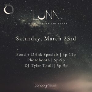 A Night Under the Stars at Luna Rooftop Bar @ Lune Rooftop Bar | Portland | Maine | United States