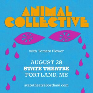 Animal Collective at State Theatre @ State Theatre | Portland | Maine | United States