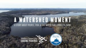 A Watershed Moment at SPACE @ SPACE | Portland | Maine | United States