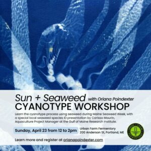 Maine Seaweed Week: Cyanotype Workshop at Urban Farm Fermentory @ Urban Farm Fermentory | Portland | Maine | United States