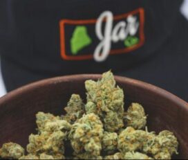 Jar Cannabis
