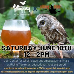 Live Birds with Center of WildLife at Rising Tide Brewing! @ Rising Tide Brewing | Portland | Maine | United States