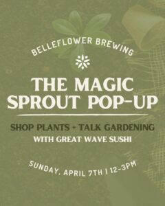 The Magic Sprout Pop-Up at Belleflower Brewery @ Belleflower Brewery | Portland | Maine | United States