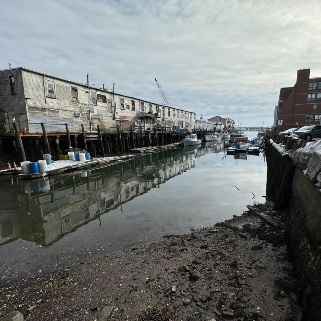 Photo of Sediment Between Portland Pier & Customs House Wharf in February 2024