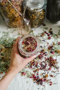 Building Your Home Apothecary with Botanically Curious @ Botanically Curious | Portland | Maine | United States